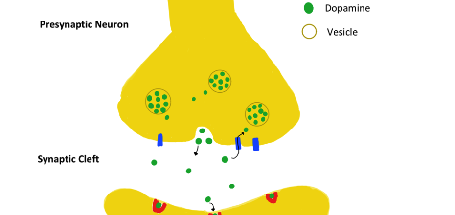 Figure1 (1)