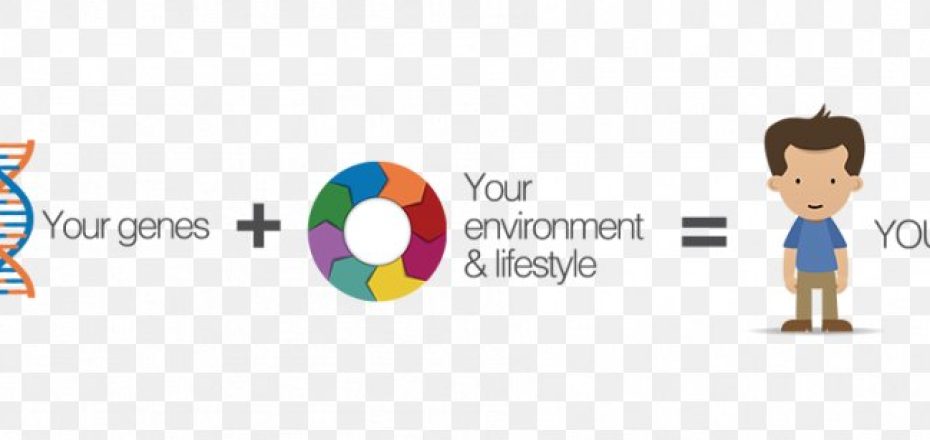 gene-environment-interaction-epigenetics-natural-environment-png-favpng-ZAq6ViUKRFU4UCQt4SQNTGKyu